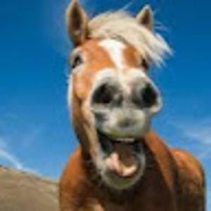 Meet your Posher, Khloe